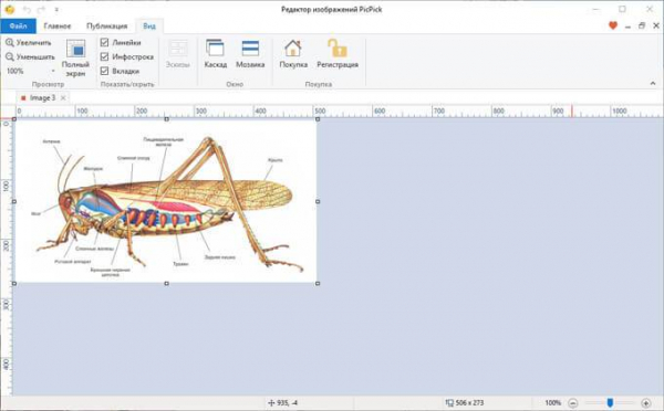 Как извлечь картинки из PDF — 5 способов