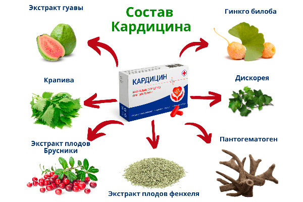 Кардицин – препарат для нормализации давления